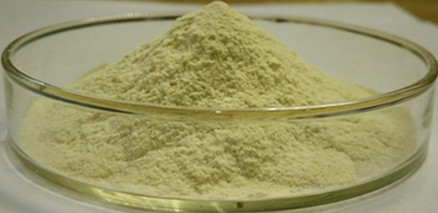 China Nattokinase 2000fu/g-20000fu/g UV supplier